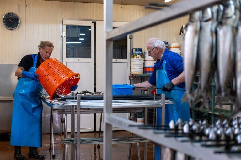 Dakconstructie met graan in historische molen, De Zandhaas