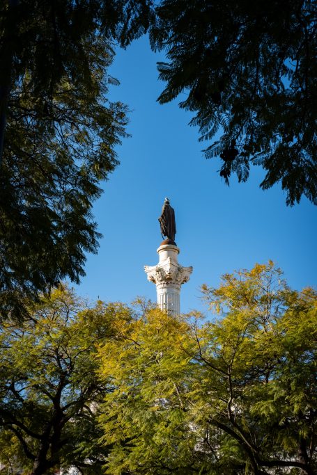 Doorkijk door bomen naar monument, straatfotografie