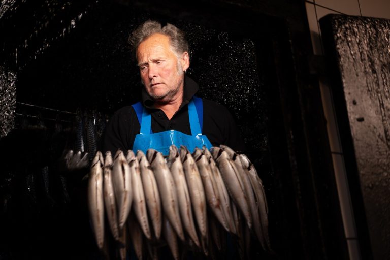 Ambacht bij visrokerij met vis, reportagefotografie Haarlem